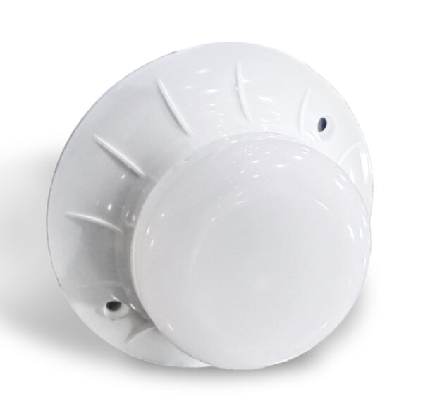 Concealed Light (SURFACE)
